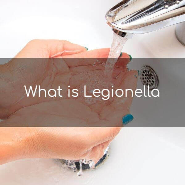 What is Legionella?