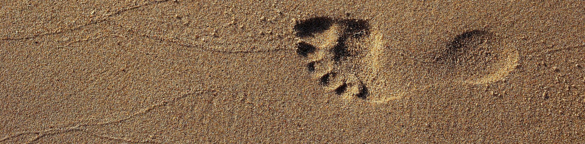 Image of a human footprint in sand.